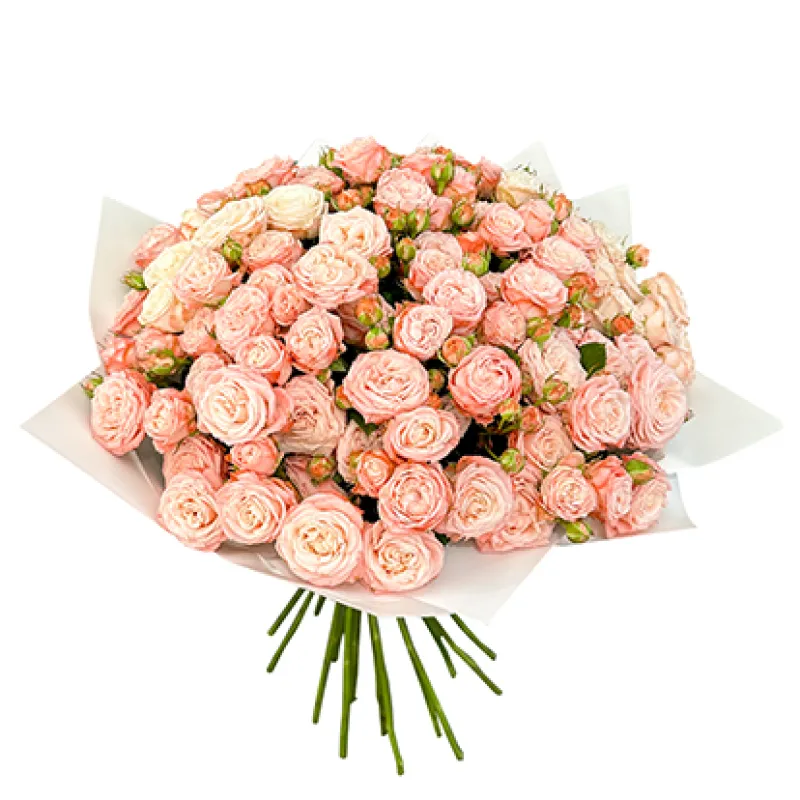 Букет из 29 кустовых роз, доставка Славянка (Прим. Кр.)